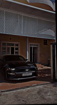 موستانغ • ٢٠٢١ • ١٣٣٠٠٠ كم