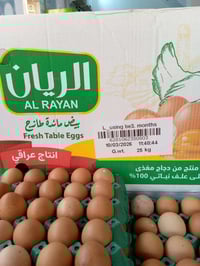 بيض ريان • انتاج جديد • المحطه شارع الذهب