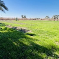 دونم واحد • ماء وكهرباء • فرع عبيد السلطان