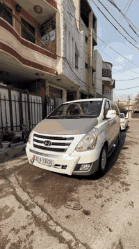 ستاركس • ٢٥٠الف • رقم اربيل