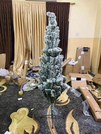 شجرة • طول ١٨٠سم • حديقة