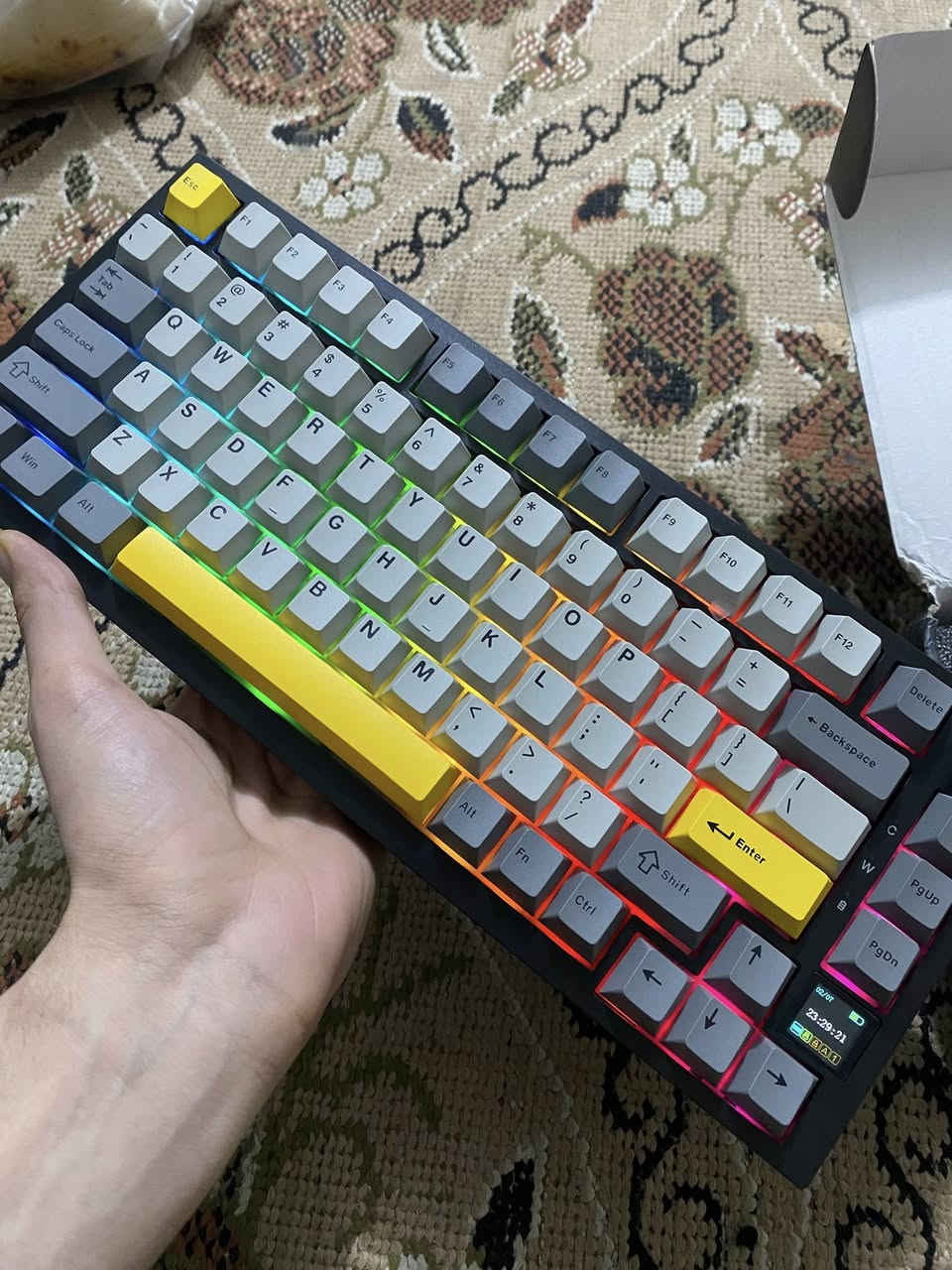 كيبورد ميكانيكي ابو الشاشة شحن  ماركة AJAZZ


**إذا كنت صاحب هذا الإعلان وتريد حذفه لأي سبب، رجاءا أرسل رسالة إلى الدعم الفني**