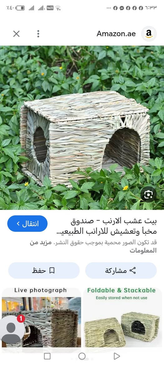منام حيوانات اول ٥


**إذا كنت صاحب هذا الإعلان وتريد حذفه لأي سبب، رجاءا أرسل رسالة إلى الدعم الفني**