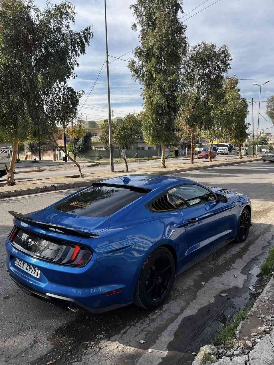 موستنك ايكو 2021
اربع قطع 
ماشيه 39الف ميل
مكان السياره الموصل 
***********واتساب اي استفسار
