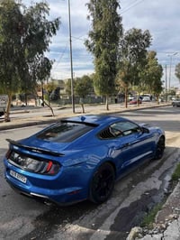 موستانغ ايكو • ٢٠٢١ • ٣٩ الف ميل