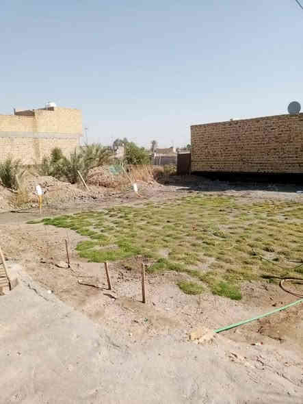 بيت للبيع  زراعي مساحة ٤٠٠ متر بناء طابوق شيلمان 
اكو قطعة ٢٠٠ بصف البيت هم للبيع حي منصور نزلة الإمام الحمزة السايدين بصف السيطرة الداخل الإمام واجة البيت ع شارع بصف سيطرة منصور يصير خلف البيت
السعر ٨٠ مليون البيت ع شارع  مباشر التبليط بصف سيطرة جوه 
ملاحظة اخوان بناء البيت درجة أولى حسب كلام صاحب البيت يس البورسلاين المتر ٢١ الف 
السعر ٨٠ مليون
***********
