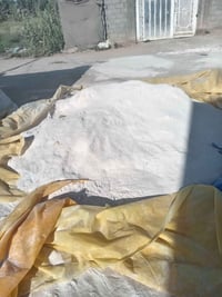 هذني الجصات للبيع بيهن ازوزه قبل أربع تيام ذابهن وزادن /انتصل وبيك خير...