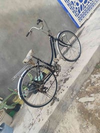 باسكل بطه • ٢٧ • ياباني اصلي