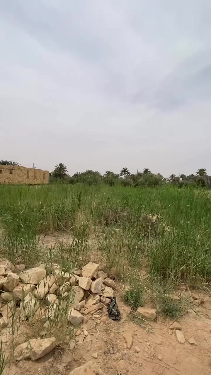 للبيع قطعة  طابو زراعي سند 25 بنزلة ال دخان قريبة عل السايدين مال المسبح مساحة 250 متر واجهة 12.5ونزال 20 كافة الخدمات يمها السعر 25 وبيها مجال بسيط للاستفسار ***********
