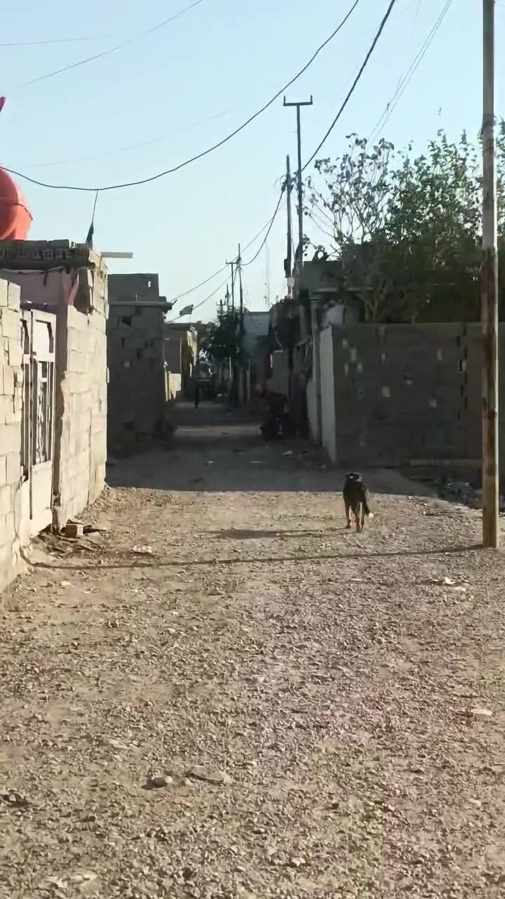 سلام عليكم قطعه ارض للبيع مساحه 100مربعه10+10شارع ابو علي قرب جامع حمزه فرع 4متر كافت لخدمات ستفسار رقم ***********سعر12مليون
