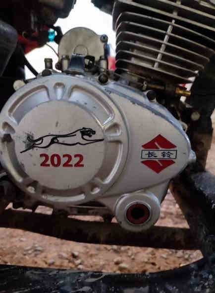 مر رخصت مدير الگروب السلام عليكم ستوته دايوان مديل ( 17 ) مكيه (22) خير من الله كهربائيات كله شغاله اوراق اصوليه السعر مليون وميه وبيها مجال (***********)
