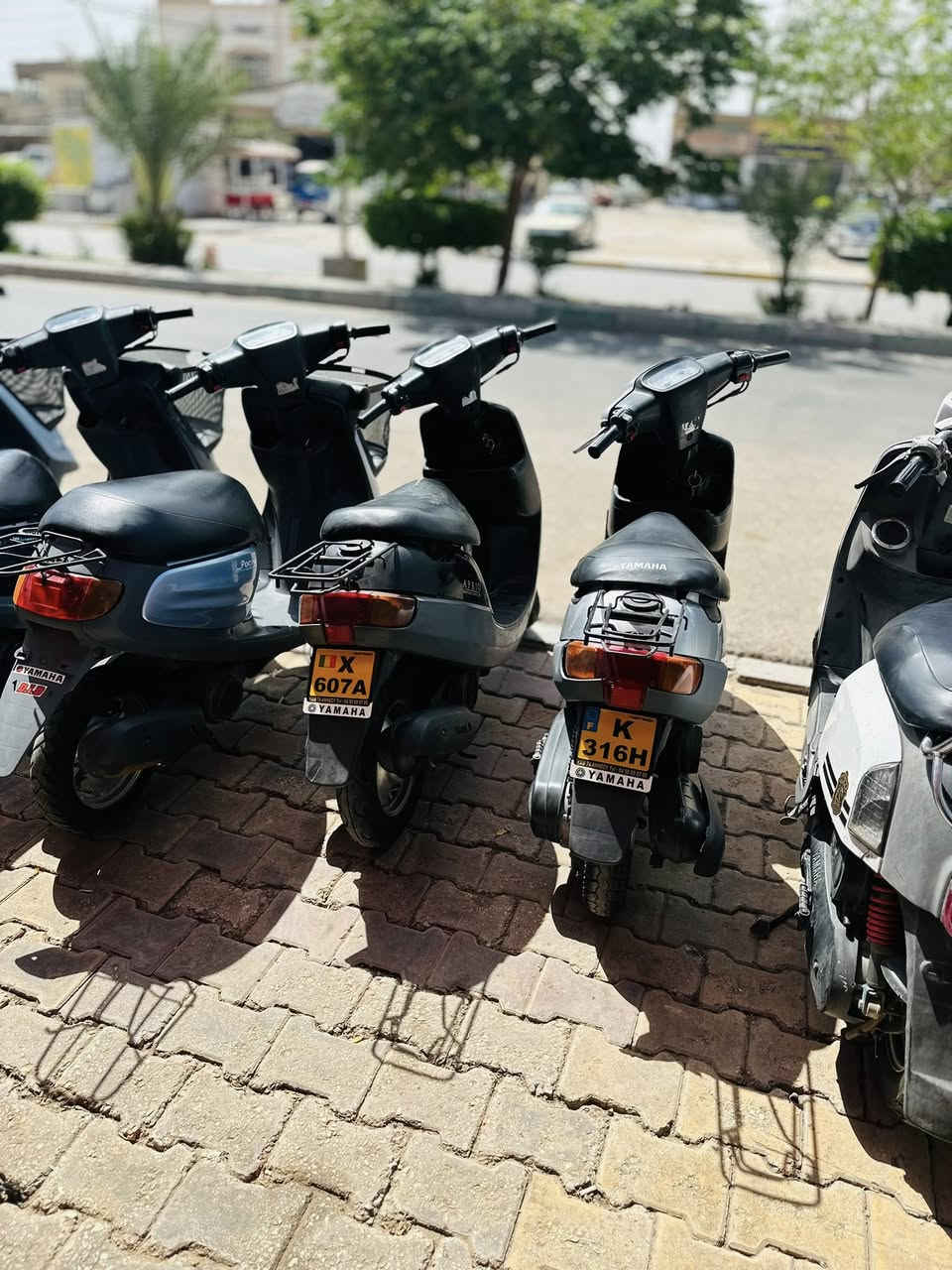سلام عليكم درجات نضيفه للبيع تجي وتشوف بعينك منغوليات اتلاثه خوات الحاويه ما مفتوحات وبطات ثنين واكزز وبوليس المكان كربلاء سوك الاخير مقابيل قاعة الابداع للتواصل***********
