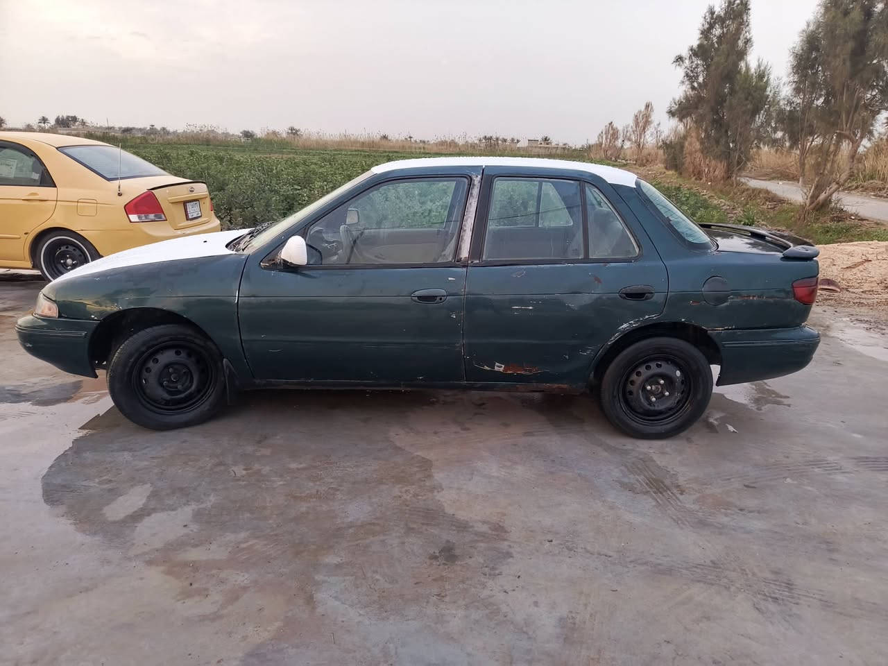 سلام عليكم سيفيا موديل 1994 انبار رقم دولي انكليزي تحويل وين ما تريد السياره بسمي.. محرك.مفتوح. كير.سليمات اي شي ما بيهن . حداديه امامي خلفي جديد.. كهربأيات كلهه شغاله كيوجه كلهه شغالله الكشر مابي شي خياسات بسيطه كلش عنوان بغداد..... الوسفيه منطقه الرضوانيه شارع معمل زينب.. هاذ السعر 27..بيه مجال  ‏‪***********‬‏.. ***********
