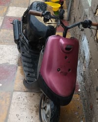 شغاله • نشيطه • ناصريه