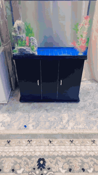 سلام عليكم شباب حوض 80 سم 
فول نظافة جاهز من كلشي 
فلتر// هيتر// جهاز اوكسجين// ديكور // ديباج
للبيع مكان السيدية تفاصيل اكثر خاص او الاتصال ***********
