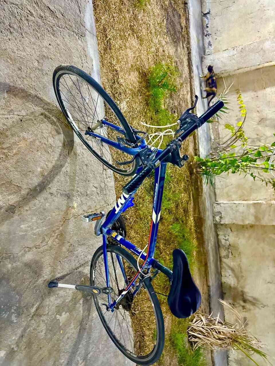 جينت البصرة, العراق


**إذا كنت صاحب هذا الإعلان وتريد حذفه لأي سبب، رجاءا أرسل رسالة إلى الدعم الفني**