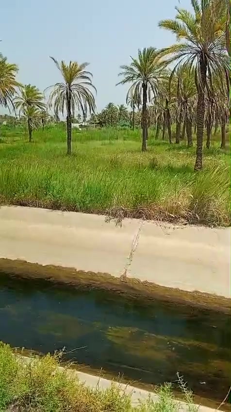 دونم ونص للبيع طوريج المنفهان تحويل مباشر واجه ٢٧م رقمي *********** ***********
