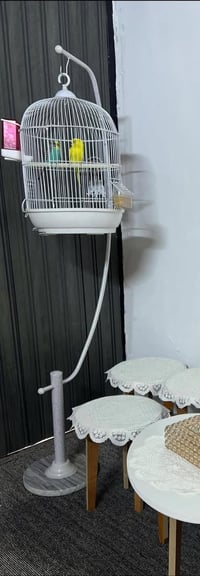 كيزر جديد • تانكي حجم جبير • قفص طيور حديد