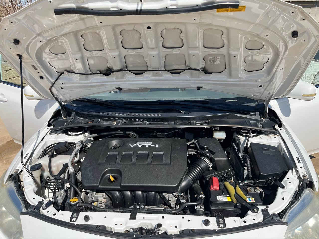 كورلا 2009 امريكي محرك 1800 بلاد وكير بلاد
سياره نظيفه جدا  
سنويه باسمي مشروع وطني 2027
ماشيه 117 الف ميل 
سياره بجم كبس باقي تفاصيل بلفحص مع الصور
السعر   122$
مكانها كركوك للاستفسار خاص كركوك, العراق


**إذا كنت صاحب هذا الإعلان وتريد حذفه لأي سبب، رجاءا أرسل رسالة إلى الدعم الفني**