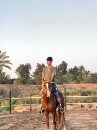 ركوب الخيل • جسر الجامعة • ٤-١١م