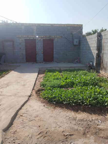 سلام عليكم بيت زراعي للبيع قرب مدرسة اليعربيه مساحته 200متر مبني بيه غرفتين وسياج وصحيات بناء جديدسعرة 35وبيه مجال لاستفسار ***********
