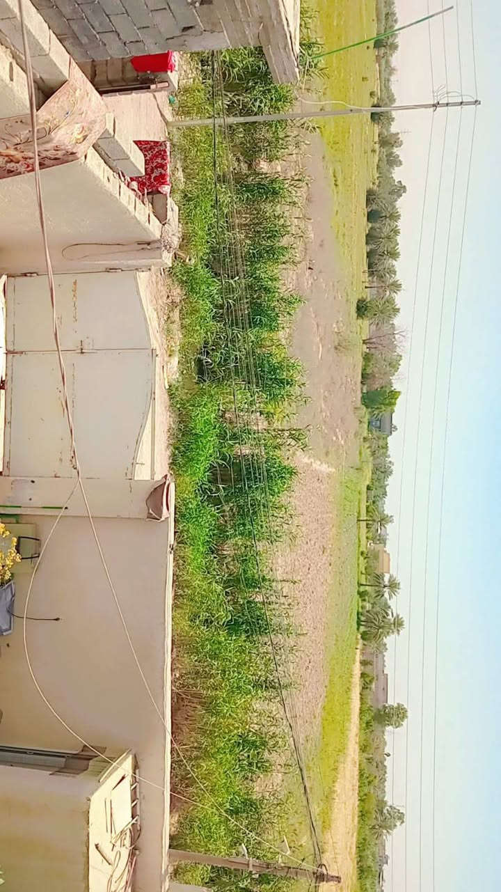 البيع او مراوس م ٢٠٠ الورديه حي الرسول مقابل اسواق الحجي قرب جامع الرحمن قرب صيدلية حسين الجنابي بناء جديد غرفتين وصاله ومطبخ مغاسل خارجي وداخلي منور ترك كراج جبير حديقة هاذ الشارع عريض بس ماكو جوارين مقابيل البيت 🏠 ساحه جبيرة الصور واضحه السعر المدائن مناسب


**إذا كنت صاحب هذا الإعلان وتريد حذفه لأي سبب، رجاءا أرسل رسالة إلى الدعم الفني**