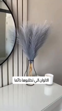 غصن بامباس • ديكور مودرن • كركوك