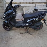 سكنس • ٢٠٢٤ • بالچيس