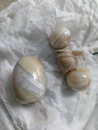 مكلف بالنشر • الديوانيه