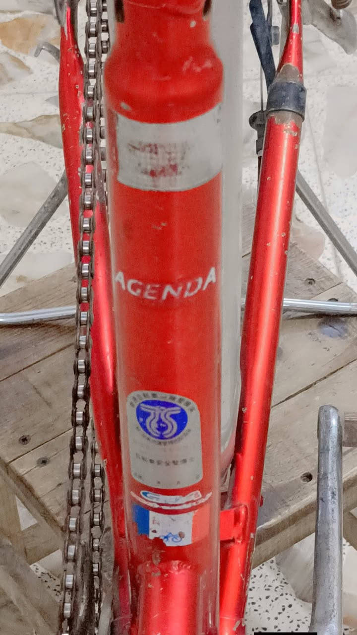 سلام عليكم
بلاش بلاش بلاش بلاش بلاش 💯 بلاش 
باسكل للبيع احمر حجم 24💯🇯🇵🈵 
 حساس امامي تايرات جدد  🈵🇯🇵💯
 💯🇯🇵🈵
نزلته من كرار ابو لنقش حاويه🈵🇯🇵💯
سكان ستيل سيبايه ستيل جك ستيل💯🇯🇵🈵  
كشن مريح 💯🇯🇵🈵
ياباني شرط 🇯🇵🇯🇵🇯🇵🇯🇵💯🈵
السعر 55وبي مجال للطيبين  🈵
متواجد في الفيسبوك🇯🇵 
عنواني نجف حولي عمود رقم واحد 1وره الملعب✔️🇯🇵🈵 
رقم الهاتف ✔️👈***********👉✌🏿
