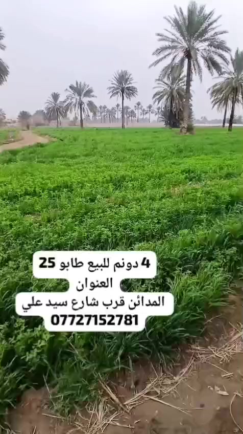 4 دونم للبيع طابو 25 
العنوان المدائن قرب شارع سيد علي 
***********
