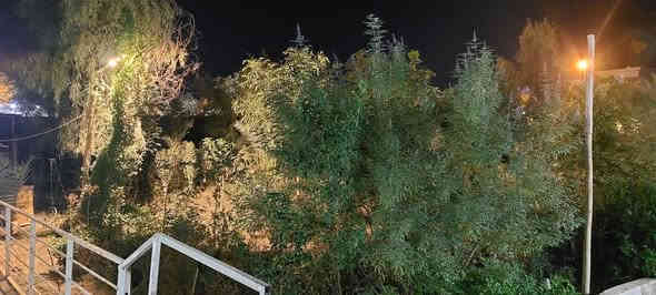 مكتب العداله للعقارات
فله فول الفول للبيع المساحه ٢٠٠٠ متر بناء درجة أولى مسابح حدائق كل هذا الجمال سعر الفله ٤٥٠ مليون قابله للتفاوض بالسعر اتفرج على الجمال والأناقة شوف الصور وحكم راحه نفسيه وجمال الذوق الاتصال على الرقم *********** ابو عماد الظالمي *********** ابو محمد الظالمي عنوان المكتب في القشلة قرب مطعم ابو احمد او حسن المصور
