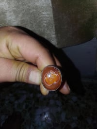 سليماني • احمر • مصور