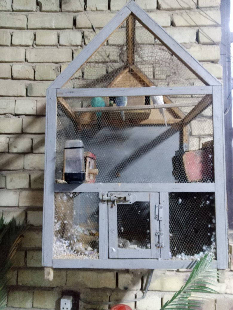 السلام عليكم طيور حب مع القفص ٣٠ مكاني زعفرانيه


**إذا كنت صاحب هذا الإعلان وتريد حذفه لأي سبب، رجاءا أرسل رسالة إلى الدعم الفني**