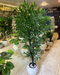 شجرة صفصاف • زينة حديقة • جاليري كنوز