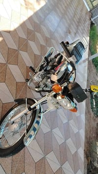 أوراق كاملة • تحت الوكالة • بلدروز