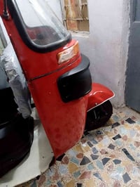 للبيع 18شهر ال 10 اوراق وكيله شاكر مصبوغة جماليه مكفوله من لضربه ولمعج...