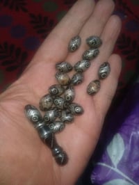 حبات اليسر • مطعم بالنقرة