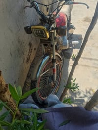 ٤كير • بدون اوراق • فلكت المدان