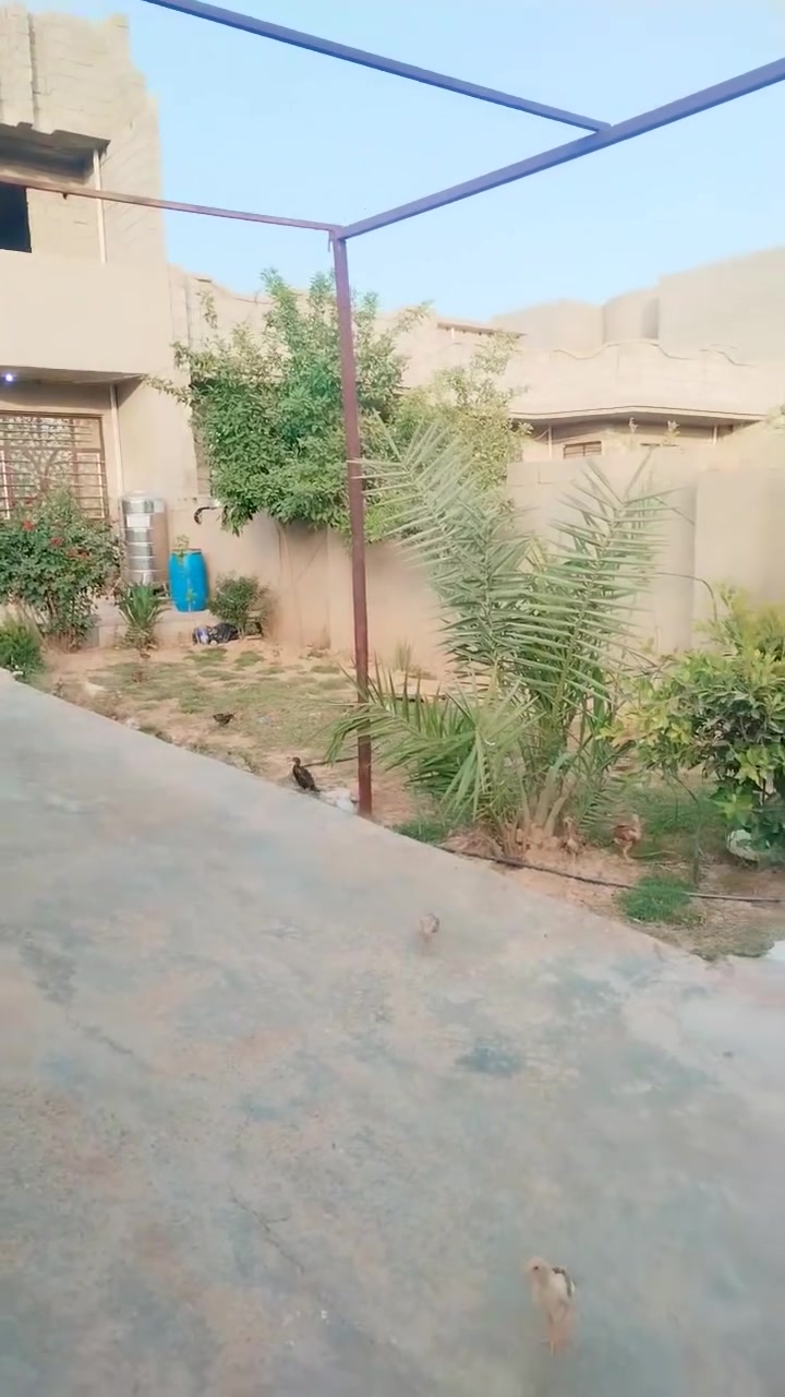 السلام عليكم عندي بيت للبيع طابو زراعي سند 25 مساحه 280 بالرابعه قريب عالشارع خدمات كامله تبليط وماء وكهرباء بيع مستعجل والسعر 92 وبي مجال التواصل على ***********
