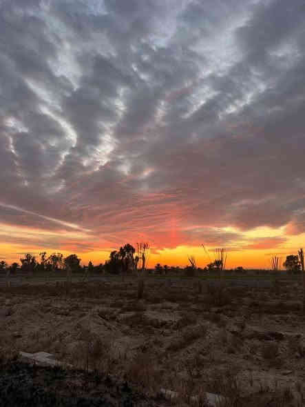 السلام عليكم 
عروض الاراضي الزراعيه الدوانم والاراضي السكنيه الطابو ملك صرف المساحات من دونم واحد الى ٢٠٠ دونم مناطق
 طابو زراعي سند ٢٥ يعني الارض تتحول بسمك الاسعار من 35مليون الى 70مليون 
🏡 دوانم طابو زراعي باسعار مميزة  ومعزولة في المناطق التالية:-
1 . الشيحة
2.السميلات
3.مناصير 10
4.عكركوف
5.جسر ماجد
6.الكويتيين
7.البصام 
8. منطقة ابراهيم ابن علي
💎💎 اشتري راحتك وراحة عائلتك👨‍👩‍👧‍👦 ضمن ارض معزولة  وهادئة وتحتوي   كافة الخدمات الاساسية من مدارس وتبليط واسواق وصناعي وتجاري  💎💎
مواصفات الاراضي
✅ الدونم يحوي كافة الخدمات الاساسية ( ماء 💧 + كهرباء ⚡️ + تبليط  ) 
✅ الدونم معزول عن الاراضي المجاورة 
 ✅  مشروع استثماري في بغداد  ) 
✅ الاراضي صالحة للبناء ووحدات سكنية كبيرة مجاري مستمر العمل بيها ميداني والمستشفى قائم العمل بيه يعني منطقه متكامله من كافة الخدمات مدارس حكوميه اهليه تبليط اماكن ترفيهيه 🙂
 للاستفسار / ‬
***********
‭***********‬
***********
#مزارع #دوانم #دار_استراحة #اراضي
