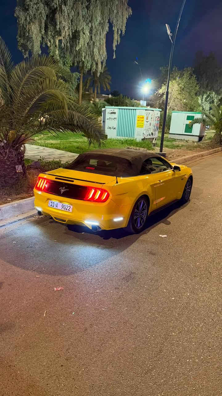 السلام عليكم

للبيع او مراوس حسب القناعه
mustang V6 2015🐎🚀

حادثها جاملغ خلفي نصه مصبوغ فقط بجم كبس بدون ايرباك

محرك وكير مكفولات من الفتح والتبديل

لون مميز اصفر 💛💛

رقم بغداد مميز بأسمي💵

مواصفات السته سلندر العاديه🔥
كامره خلفيه
كشن كهرباء
بصمه 
تشغيل عن بعد

ماشيه 97
مسويلها ادامه كامله يم علي الصميدعي
مبرمجه سيفتي يم طلال 4brothers
تخم تاير جديد
دسكات جديده
السياره حلوه ومصروف عليها وجديده كلش معتني بيها

للاستفسار
***********
