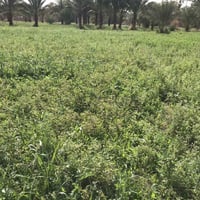 يوجد جت الضمان الاستفسار الاتصال07727384599