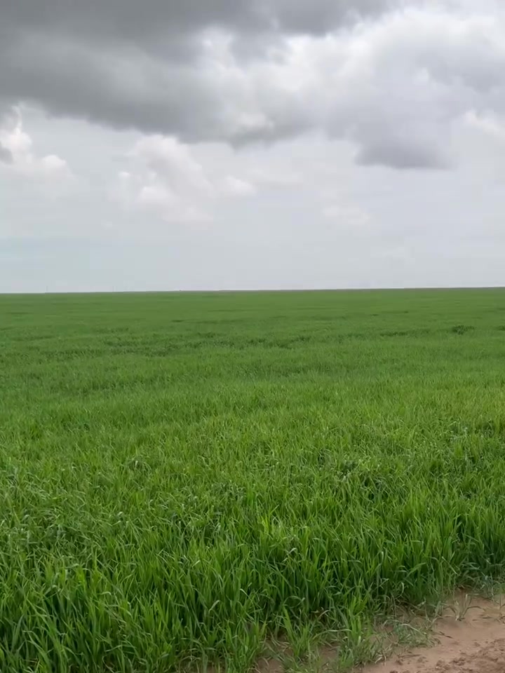 كاع في الصقلاويةالثرثار الأنبار
للبيع 750 دونمً بيه مرشات عدد5 فآلي أمريكي مستخدم ثاني سنه جديد
بيه آبار عدد 11 بير مع غطاسات وكيبلات كامل متكامل شغال
مع مولدات عدد2.  250 كيفي كمنز
مع احواض عدد 2
مع غطاسات كامله متكامله بس دوس دكمه شغل
مع مكينه 6 سلندر موديل 24 ايرانيه 
مع فدان البير
مع محولات عدد 2 
مع رافع قدره كهرباء
مع كرفان 
كامله متكامله

للاستفسار
***********

