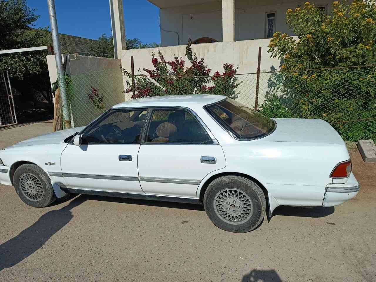 مارك كصيف مكفوله من الكص نقل جثه اصوليات رقم بصره كفاله مكينه كير  حداديه نص عمر تبريد نقص غاز السعر 42 للتواصل علرقم ‏‪***********‬‏
