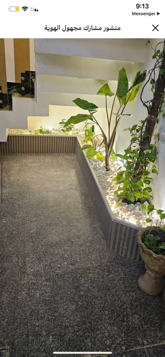 عقار للبيع
#الدوره زراعي ابو طياره. 

 الموقع تجاري على الشارع العام

المساحه. 100 بي قرار قاضي 

يحتوي الطابق الاول  مطبغ. وصاله. وهول حولي 

وغرفه نوم  ومنور وصحيات 

الطابق الثاني  غرفتان نوم وصحيات وغرفه غساله 

الثالث بيتونه  

كامل من كل شي  ومزود بالديكورات 

هـ ***********

ملاحضه غير متواجد ع الفيس
