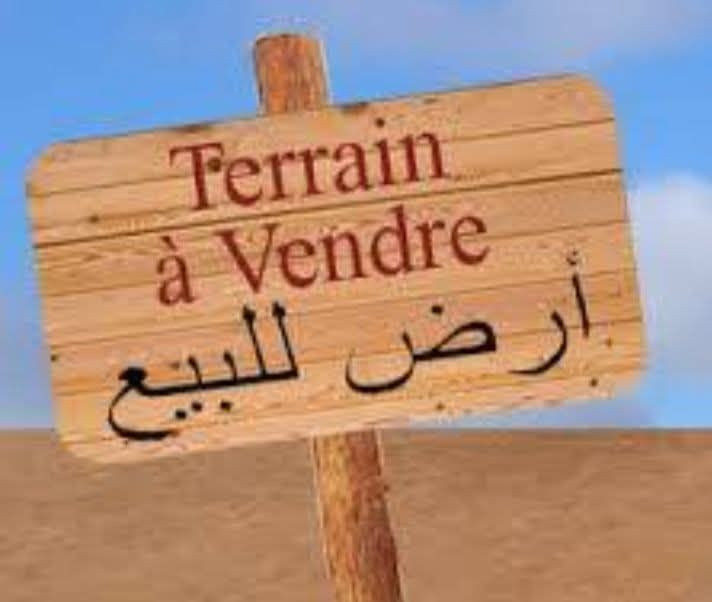 قطعة أرض للبيع حوالي التحرير زراعي محمد ليلى بداية الجزء الثالث فرع المطهرچي أبو مصطفى  التبليط تقريباً 15متر عليهة ماء كهرباء مربعة 10*10 للستفسار على الرقم ***********
