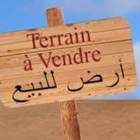 زراعي محمد ليلى • تبليط ١٥م • مربعة ١٠×١٠