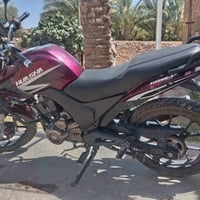 هيوشه24 • مكفول • ستوته