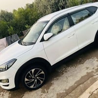 توسان • ٢٠١٩ • رقم السليمانية